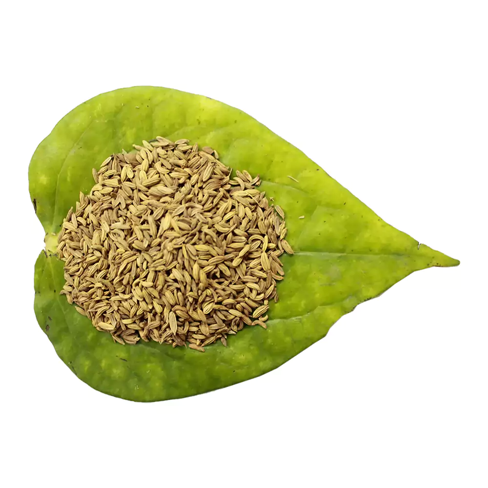 Roasted Saunf, 100g (Pack of 3)-1.webp